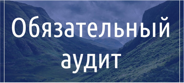 Обов'язковий аудит Обов'язковий аудит